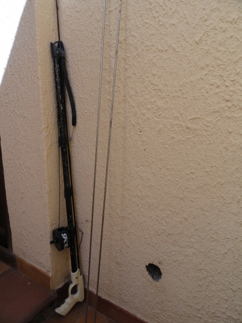 harpon pour chasse sous marine acheter vendre