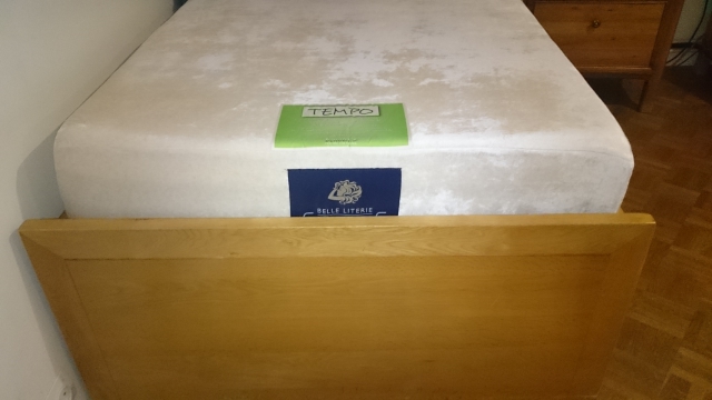 matelas TBE 90 x 190 x 25 acheter vendre