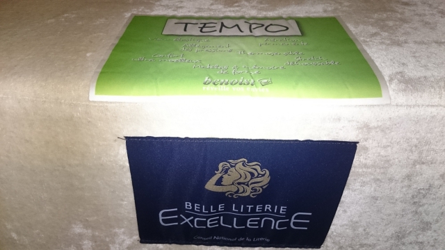 matelas TBE 90 x 190 x 25 acheter vendre