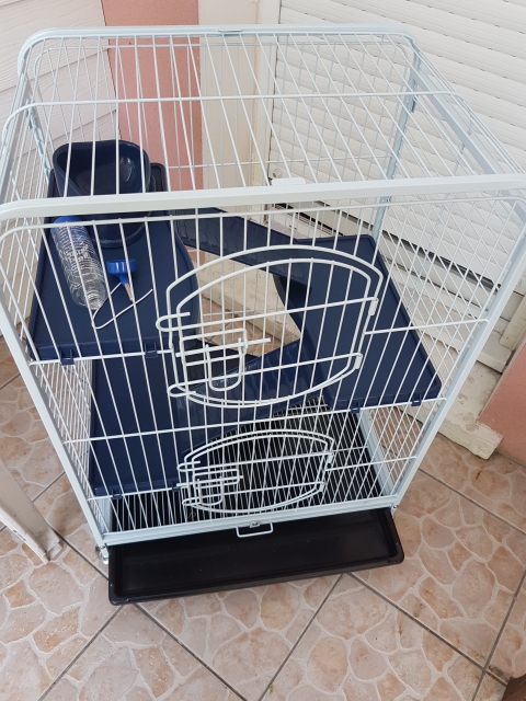 Cage  acheter vendre