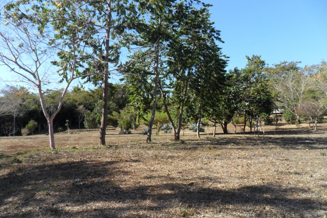 PROPRIETE 10HA NOSY BE MADAGASCAR LOCATION GERANCE acheter vendre