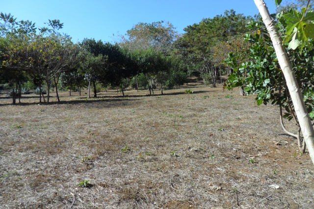 PROPRIETE 10HA NOSY BE MADAGASCAR LOCATION GERANCE acheter vendre