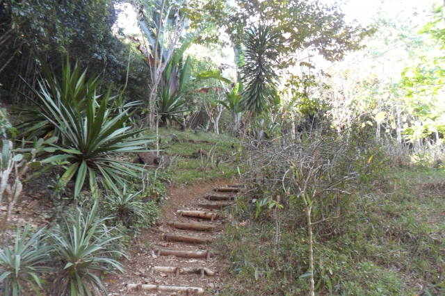 PROPRIETE 10HA NOSY BE MADAGASCAR LOCATION GERANCE acheter vendre