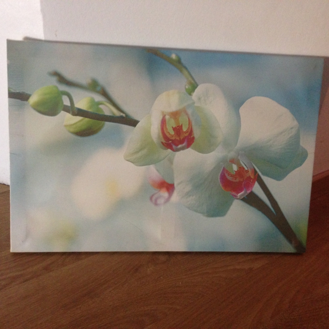 Vend tableaux aux choix acheter vendre