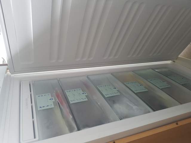 Congélateur acheter vendre