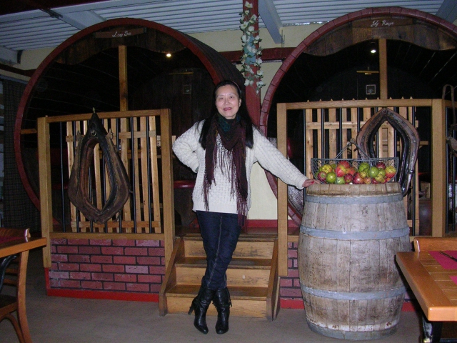 traduction-intéprète acheter vendre