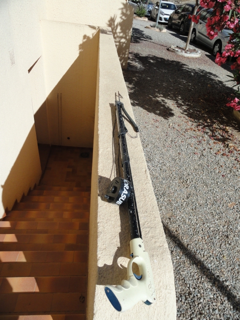 harpon pour chasse sous marine acheter vendre