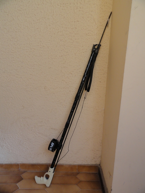harpon pour chasse sous marine acheter vendre