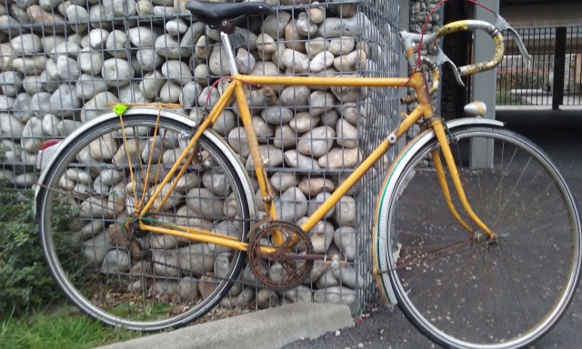 VELO DEMI-COURSE acheter vendre