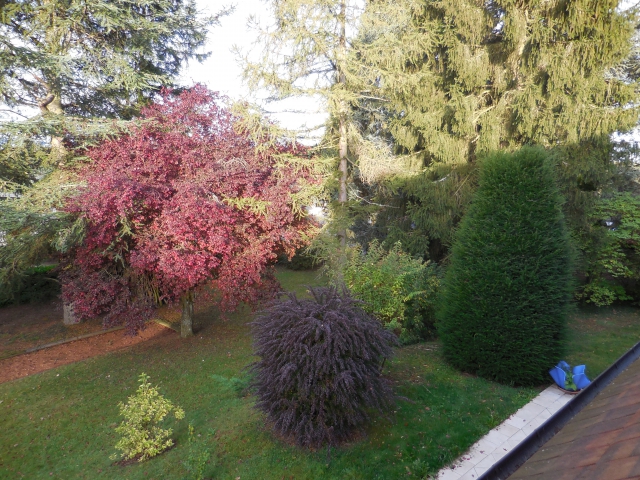 Maison 8 pièces acheter vendre