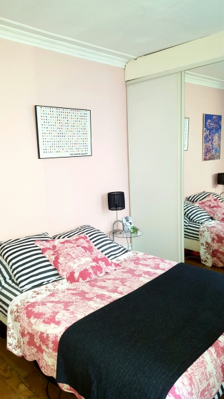 Charmant F3 dans le coeur de Paris  acheter vendre