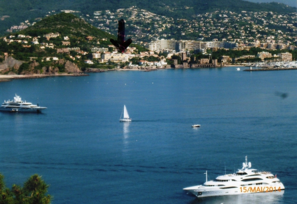 BEAU STUDIO FACE A LA MER BAIE DE CANNES acheter vendre