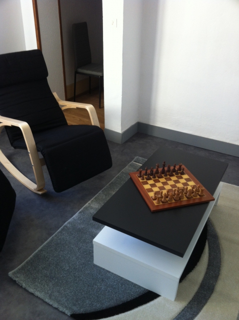 Très bel appartement meublé avec terrasse acheter vendre