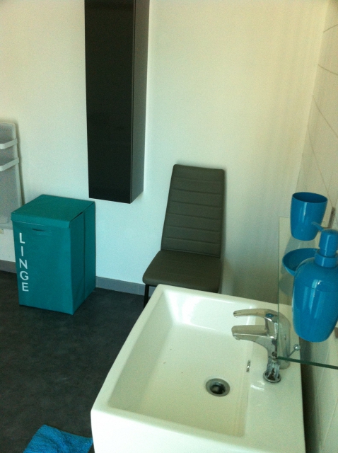 Très bel appartement meublé avec terrasse acheter vendre