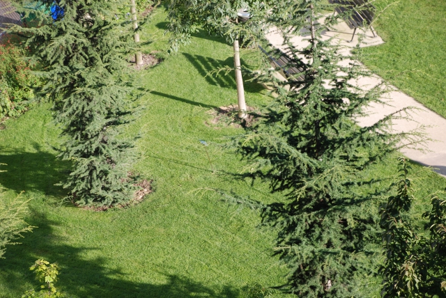 38,21 m2 – plein sud – vue dégagée sur parc acheter vendre