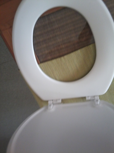 abattant wc acheter vendre