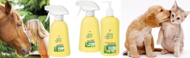 un revenu immédiat acheter vendre