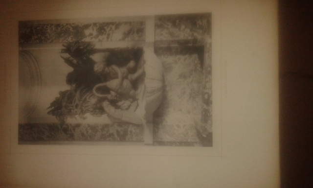 Phototypie Berthaud  à Fontainebleau acheter vendre