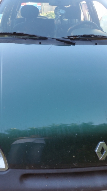 clio chipie acheter vendre