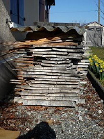 Bois d'Oeuvre Ormeau Blanc et Rose. acheter vendre