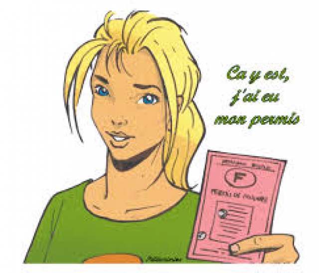 moniteur auto ecole independant cour de conduite acheter vendre