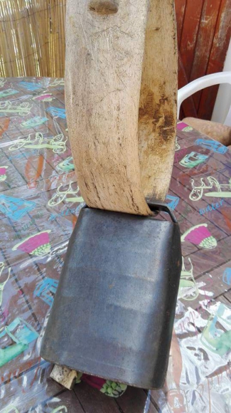 Cloche acheter vendre