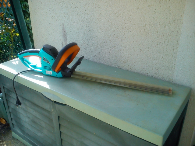 Taille Haie  acheter vendre