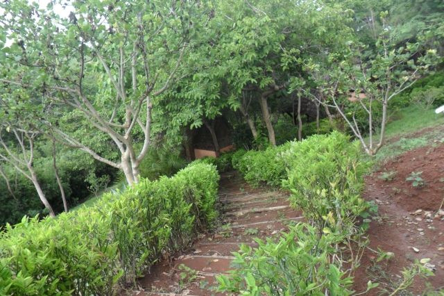 TERRAIN 10HA NOSY BE MADAGASCAR acheter vendre