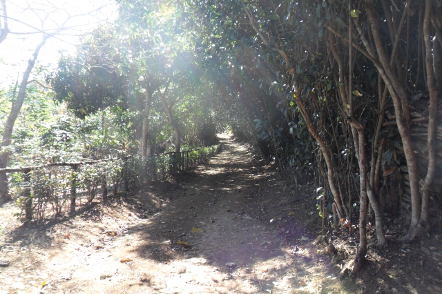 TERRAIN 10HA NOSY BE MADAGASCAR acheter vendre