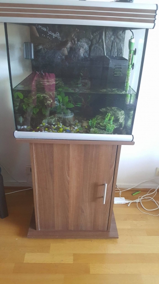 Aquarium 120L acheter vendre