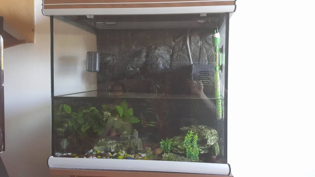 Aquarium 120L acheter vendre