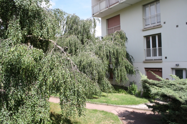 studio pour étudiant acheter vendre