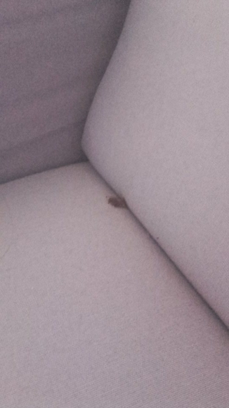 Canapé 2 places en tissus acheter vendre