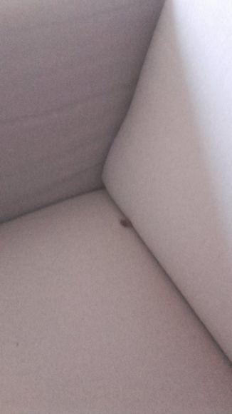 Canapé 2 places en tissus acheter vendre