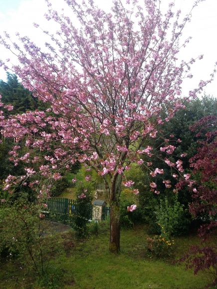 villa F4 acheter vendre