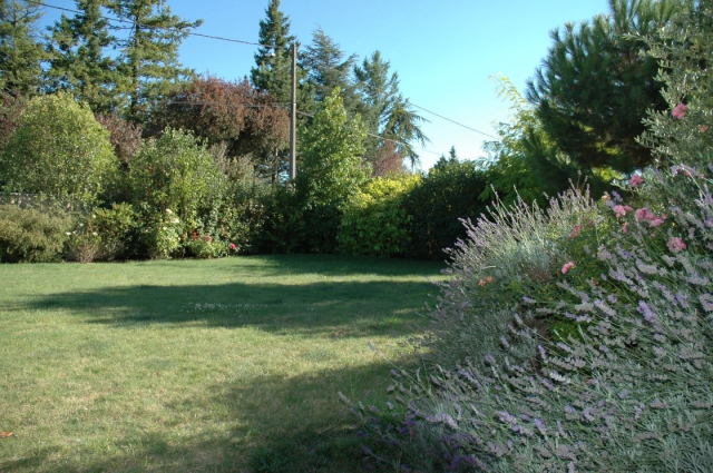 Prendre soin & garder son chien (Particulier) acheter vendre