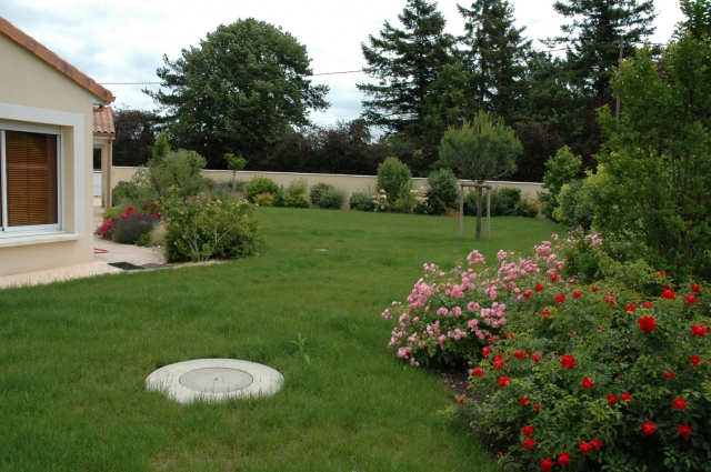 Prendre soin & garder son chien (Particulier) acheter vendre