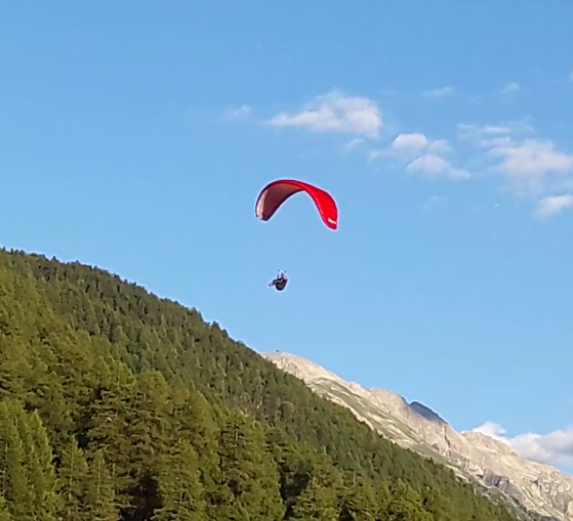 Goose mk2 xl  Litlle Cloud acheter vendre