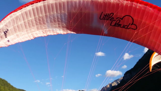 Goose mk2 xl  Litlle Cloud acheter vendre