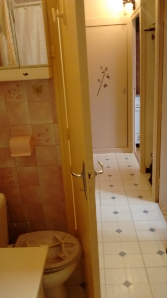 Appartement f1 27 m2 meublé  acheter vendre