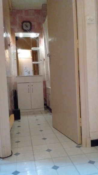 Appartement f1 27 m2 meublé  acheter vendre