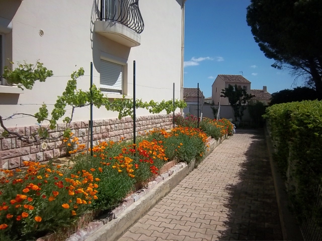 Villa haut de gamme acheter vendre