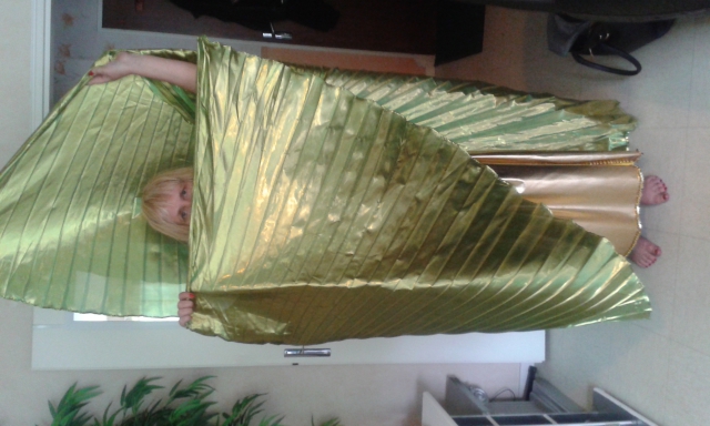 costume danse oriental acheter vendre