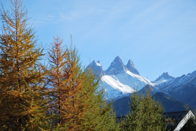 TERRAIN CONSTRUCTIBLE acheter vendre