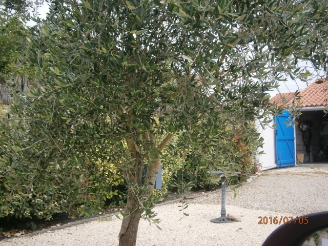 maison au calme acheter vendre