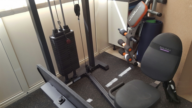 presse horizontale BODY SOLID acheter vendre