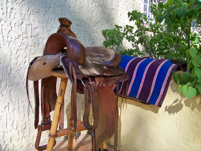 équip. Complet Selle Américaine acheter vendre