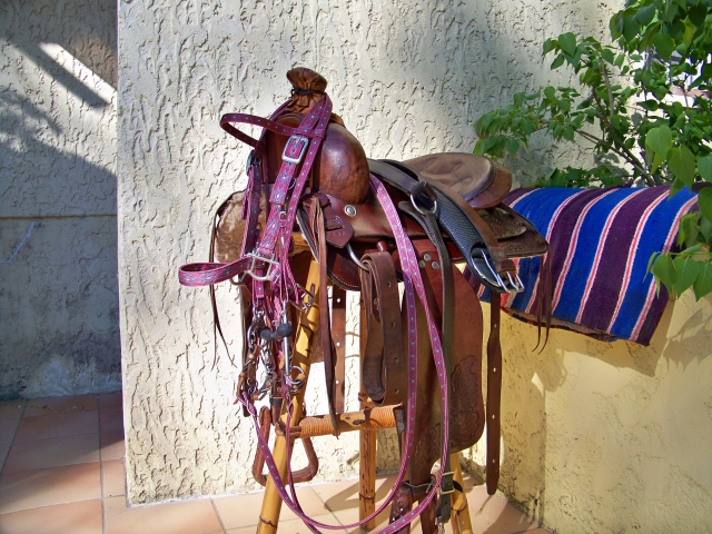 équip. Complet Selle Américaine acheter vendre