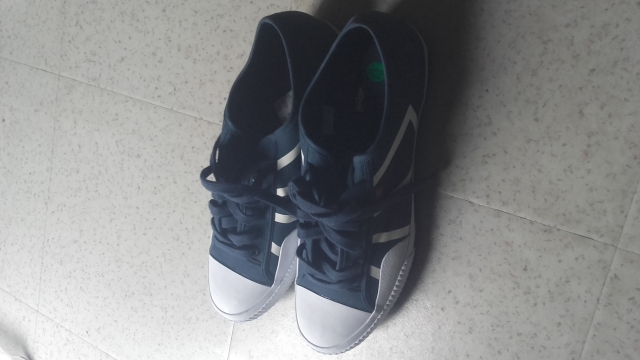 Chaussure Levis modèle rare  acheter vendre