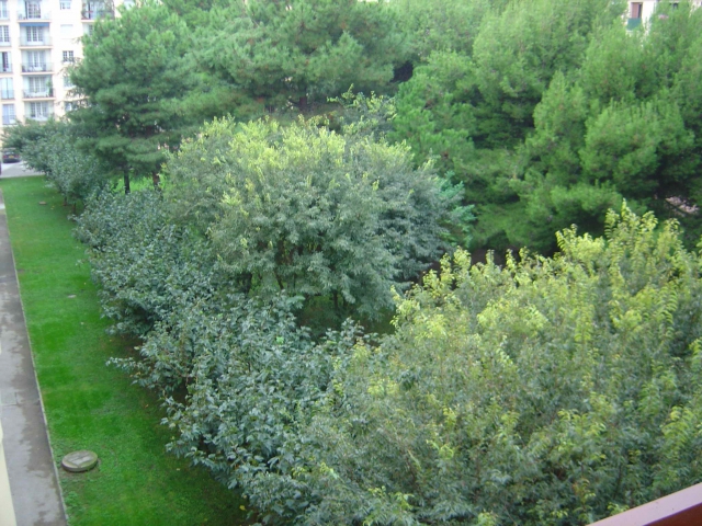 F4 Proximité Palais des congrés et centre ville acheter vendre